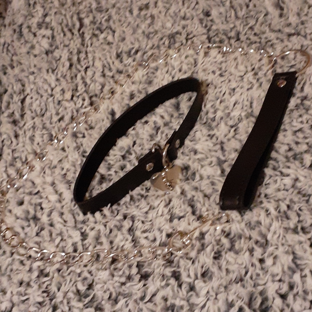 Locking Heart Collar